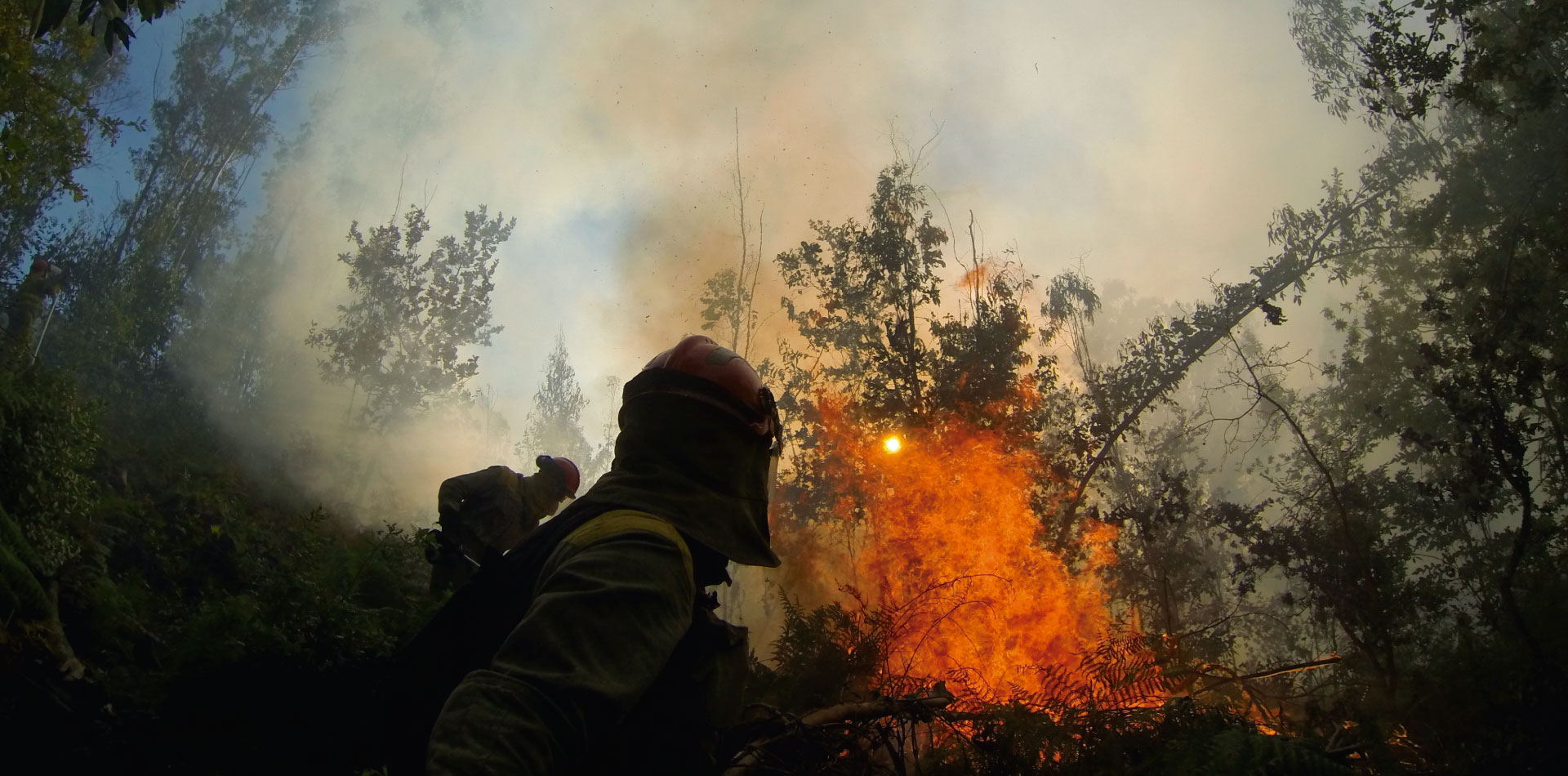 incendio forestal en galicia