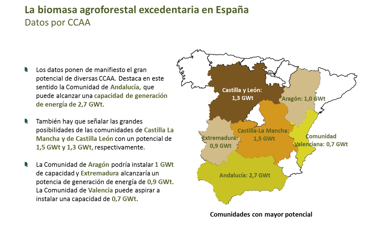 La biomasa agroforestal excedentaria en España