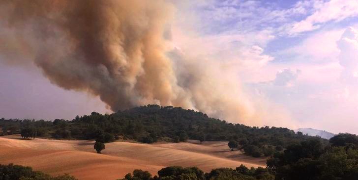 incendios forestales biomasa