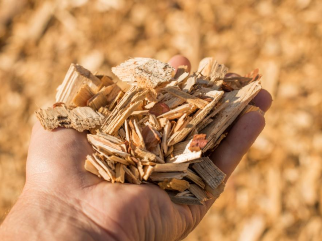 Madrid ayuda al cambio a biomasa