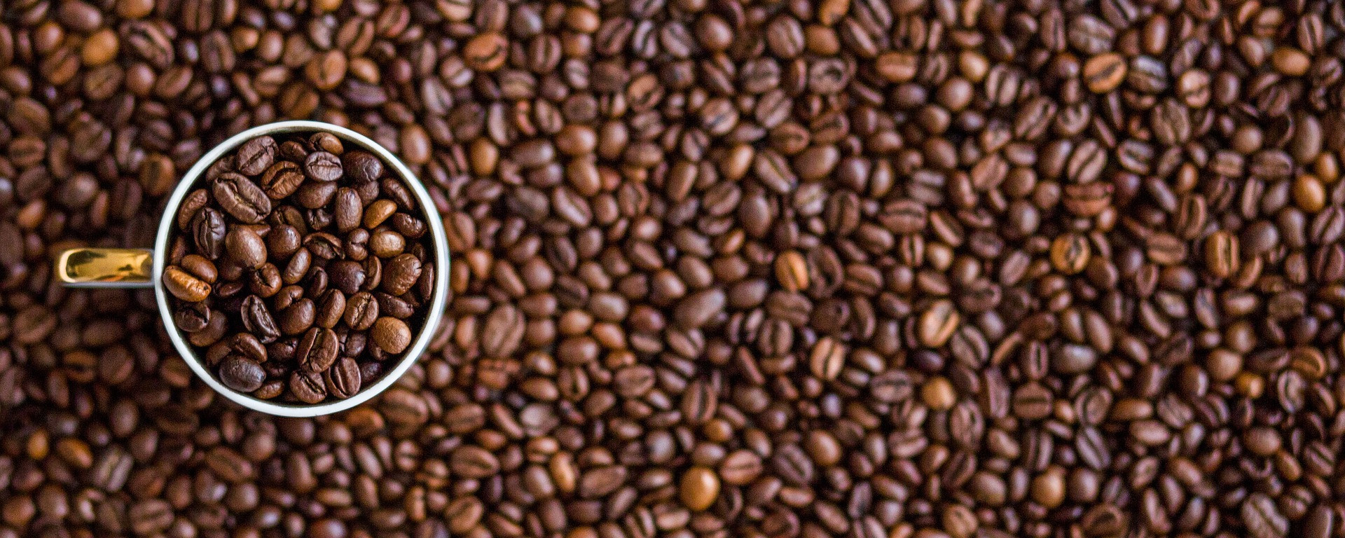 Granos de café para biomasa